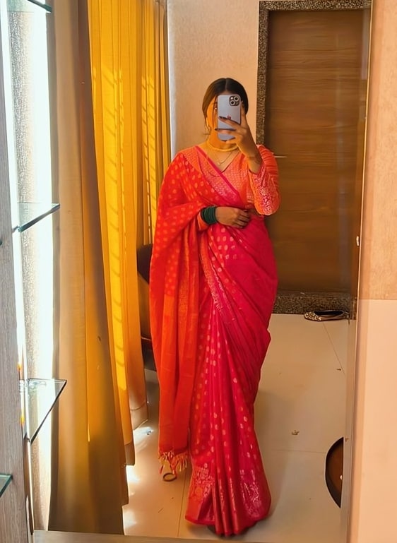 Mirror selfie dp Saree (3)